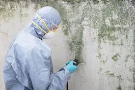 Richmond, IL Mold Removal & Remediation Company